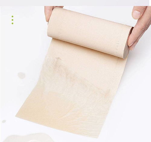 本色竹漿卷紙 環(huán)保健康的家庭衛(wèi)生選擇