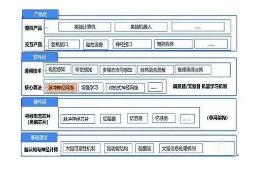 類腦智能 人工智能基礎軟件開發(fā)的另一條路徑